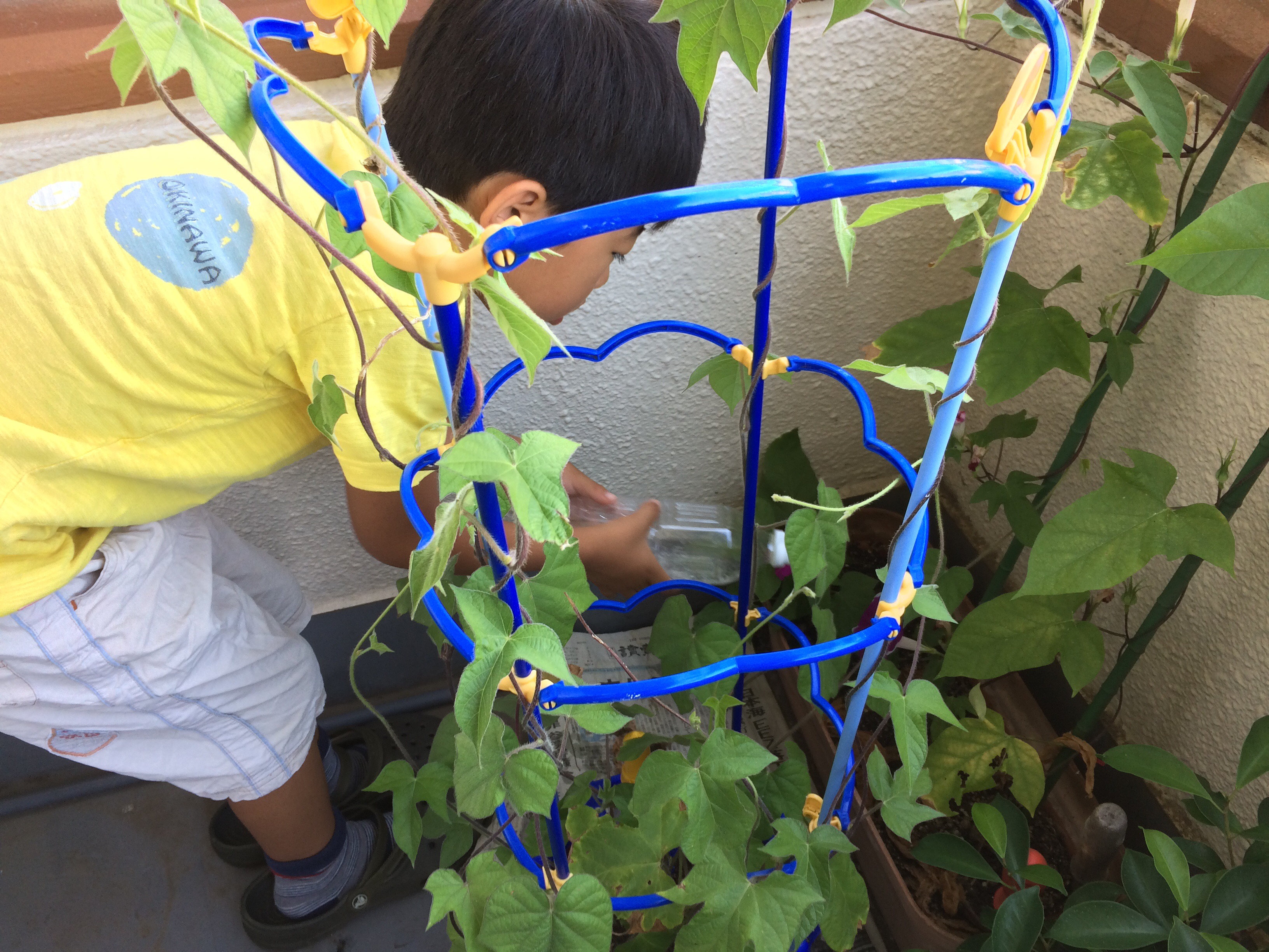 最初の夏休みスタート！