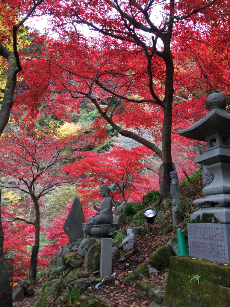 大山寺 2016年11月