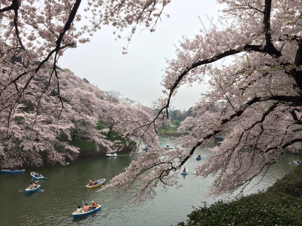 千鳥ヶ淵 2017年4月